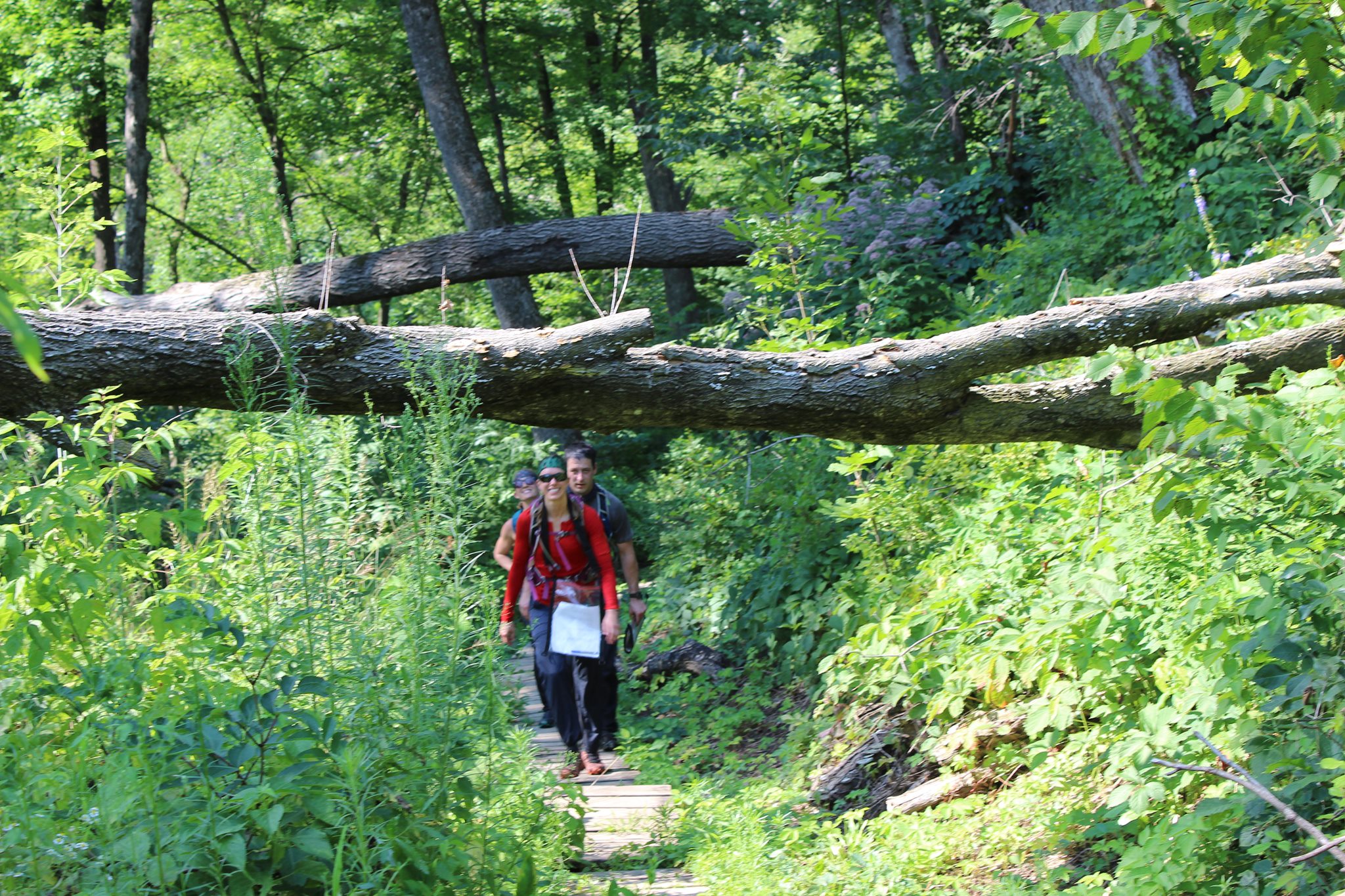 Pocket Gopher Extreme Challenge North America Series RACES ARWS